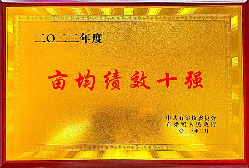 亩均绩效十强